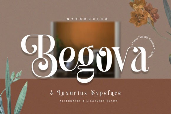 Begova: A Thoughtful Display Font for Editorial Calm
